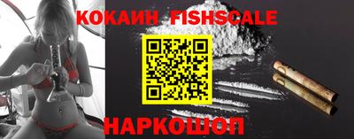 гашик Гай