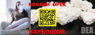 гашик Гай