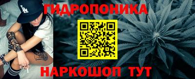 гашик Гай