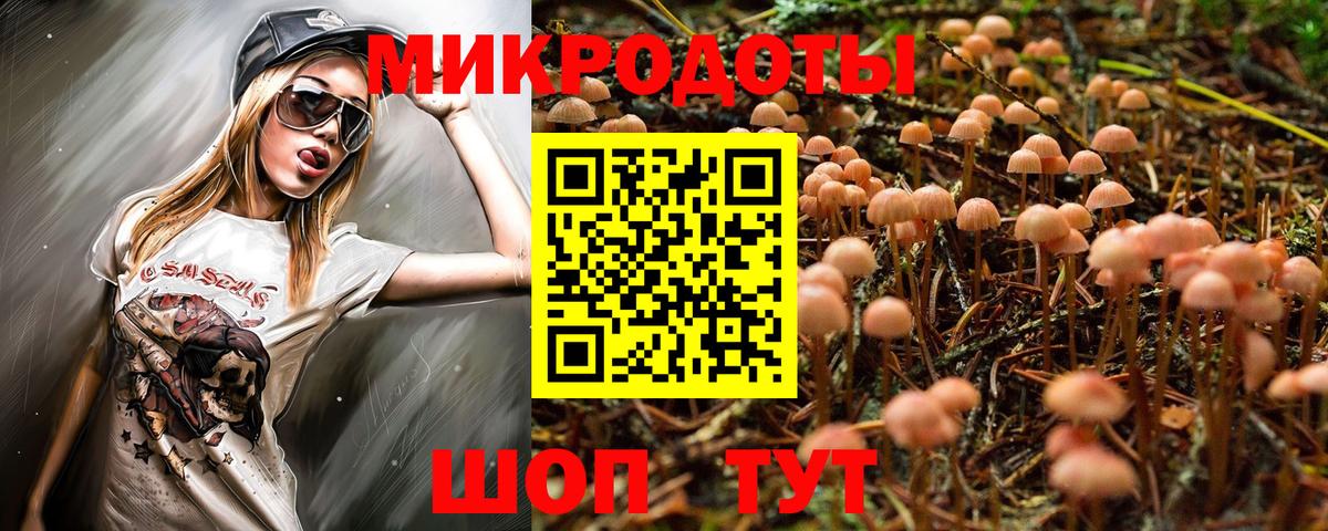 Лесозаводск  Псилоцибиновые грибы мицелий  Вход с VPN 