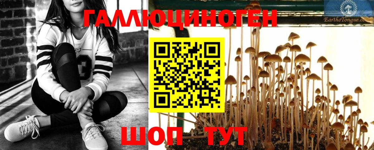 Галлюциногенные грибы мухоморы Лесозаводск